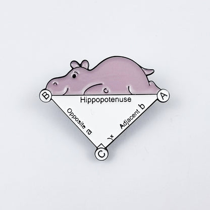 Turtle And Hippo Mathematics Teacher Pin